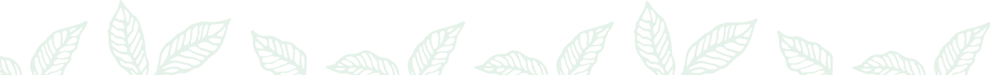 elm